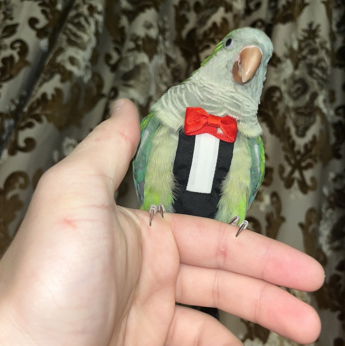 ‏محمد حمدان